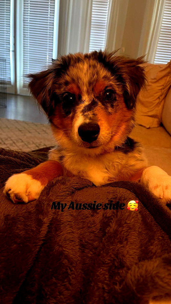 abbyy.irl image ~ Altpins