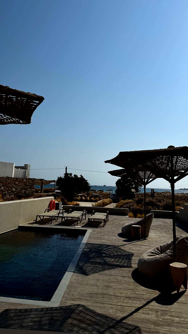 abbyy.irl image ~ Altpins