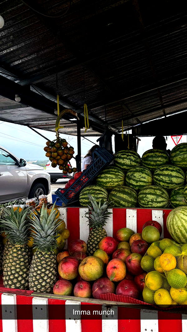 abbyy.irl image ~ Altpins