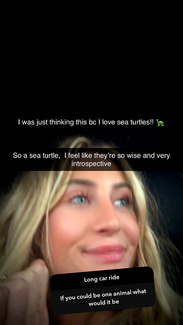 abbyy.irl image ~ Altpins