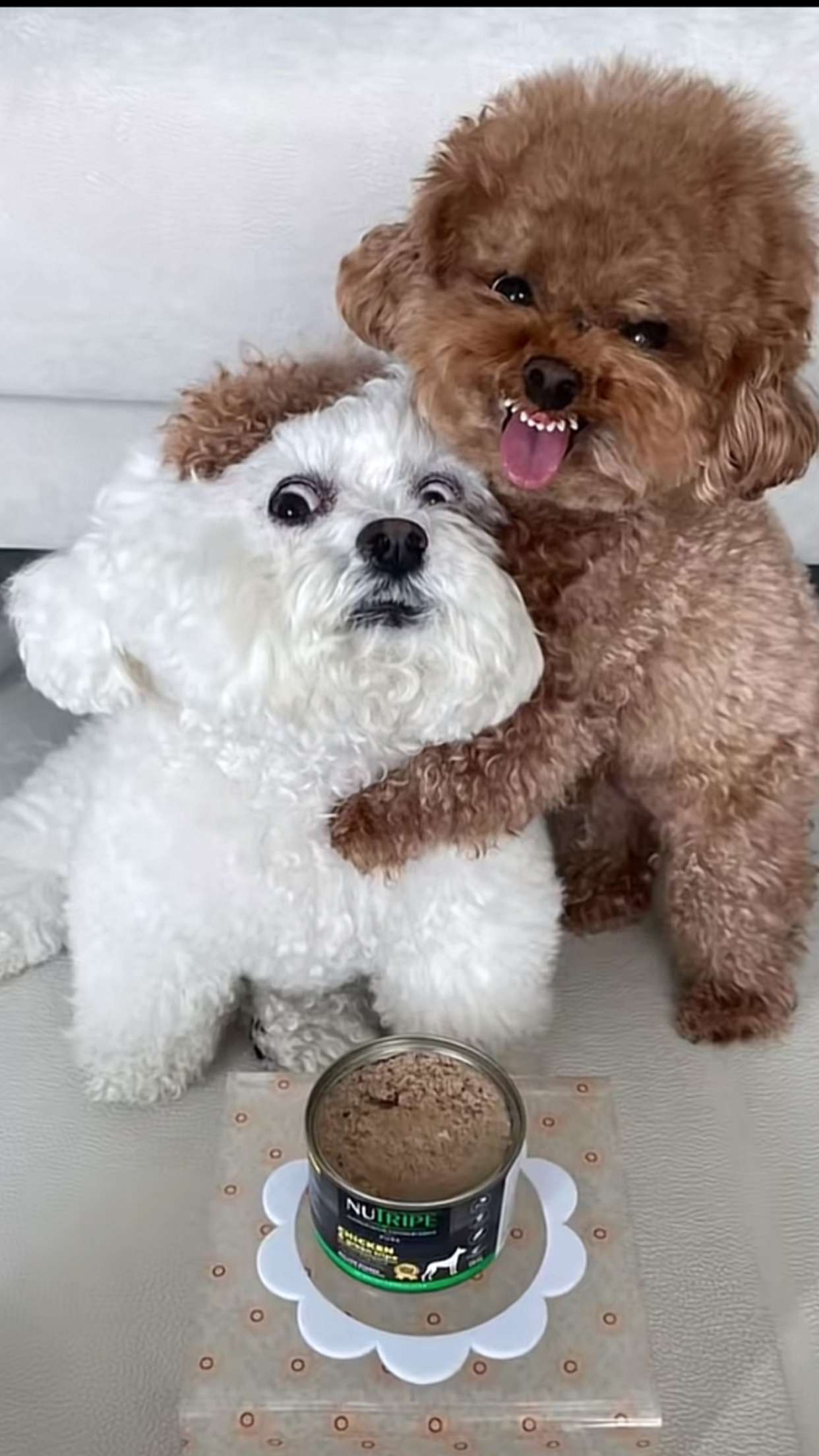 abbyy.irl snapchat image archive image