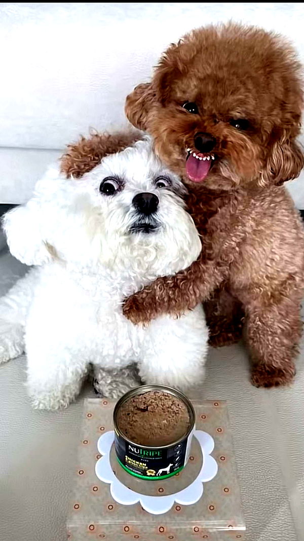 abbyy.irl image ~ Altpins