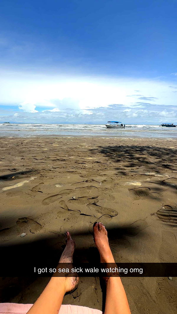 abbyy.irl image ~ Altpins