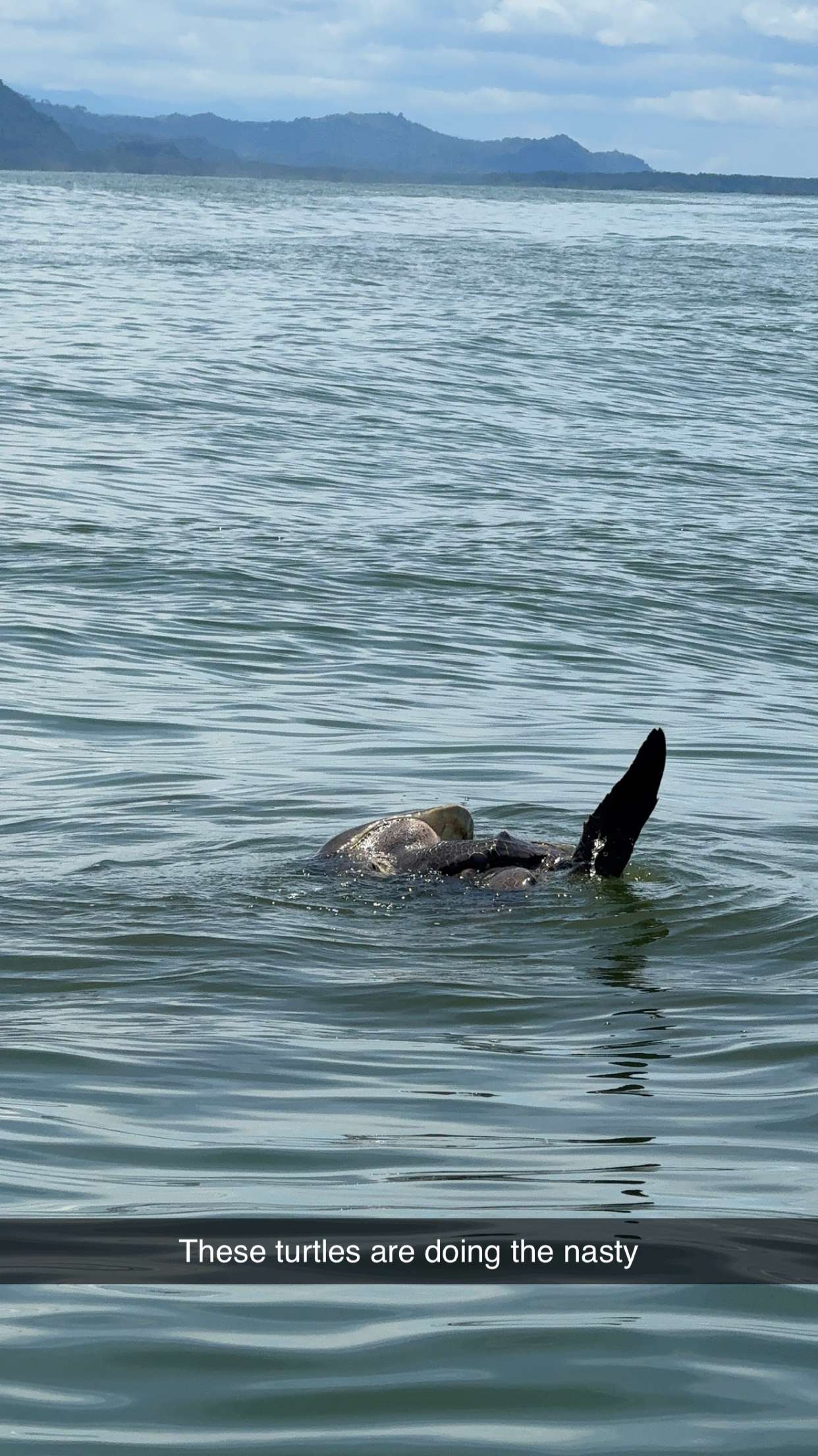 abbyy.irl snapchat image archive image