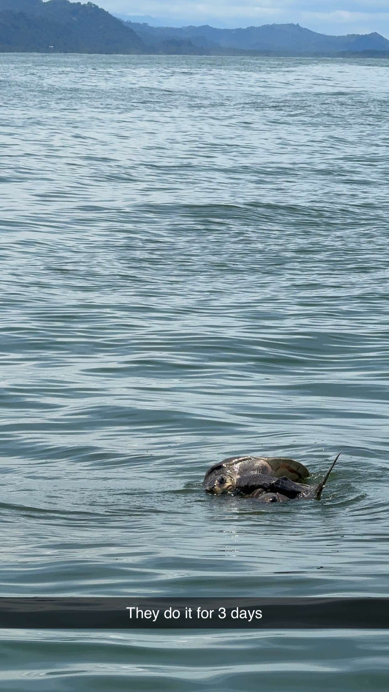 abbyy.irl snapchat image archive image