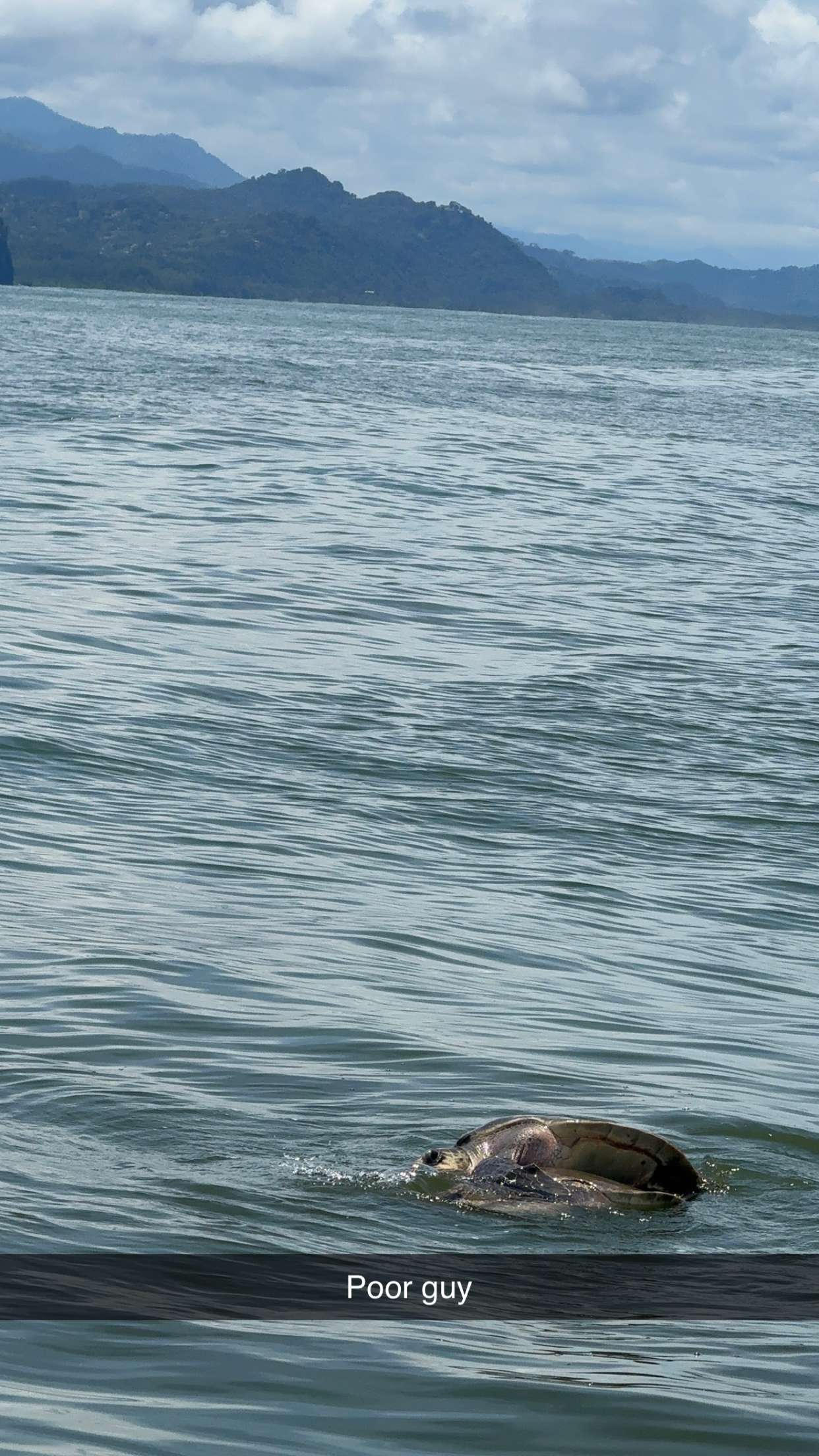 abbyy.irl snapchat image archive image