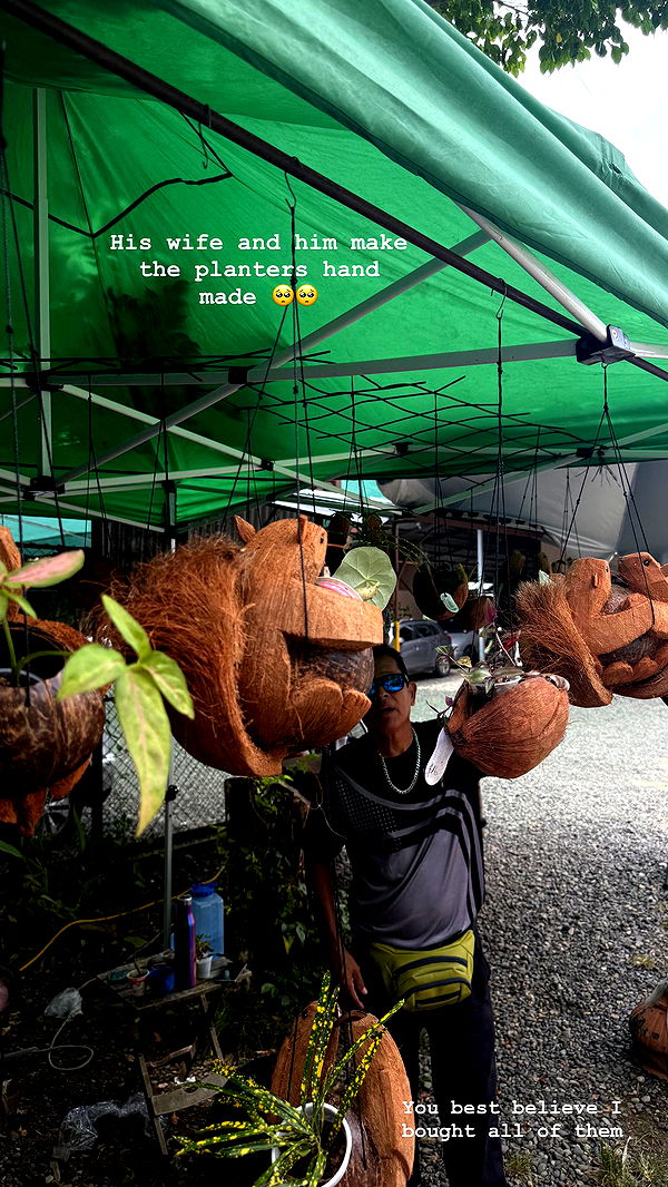 abbyy.irl image ~ Altpins