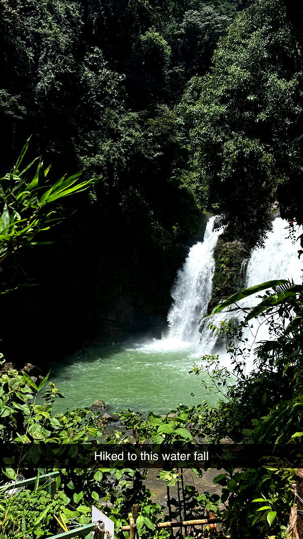 abbyy.irl image ~ Altpins