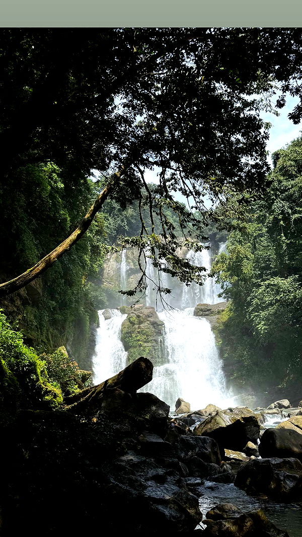 abbyy.irl image ~ Altpins