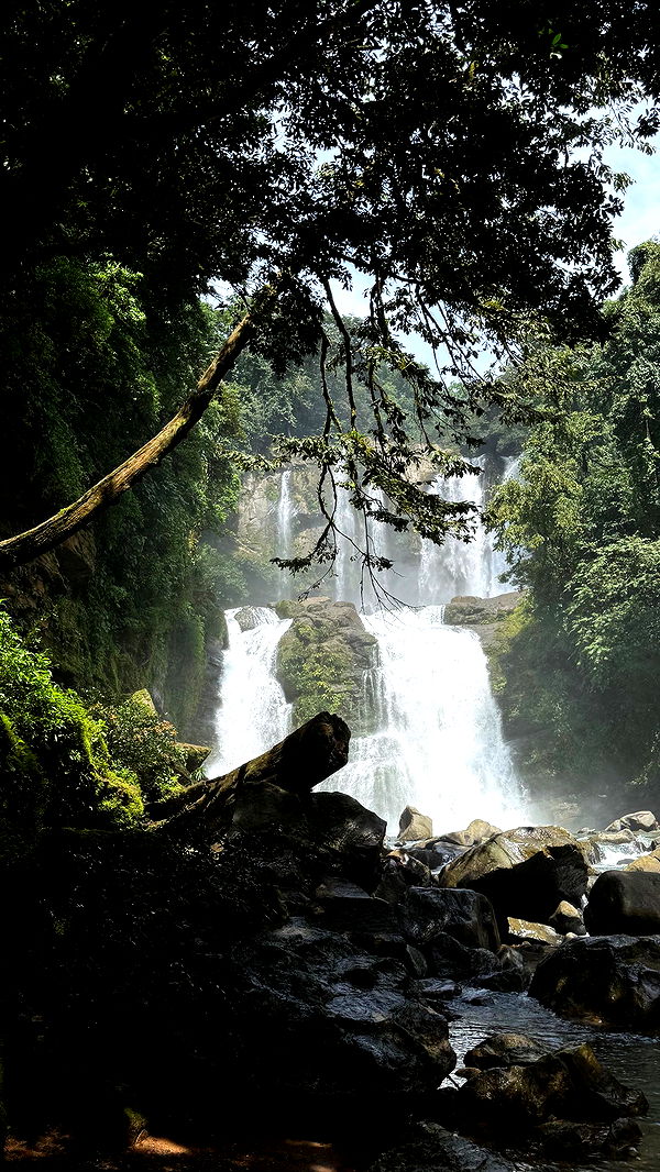 abbyy.irl image ~ Altpins