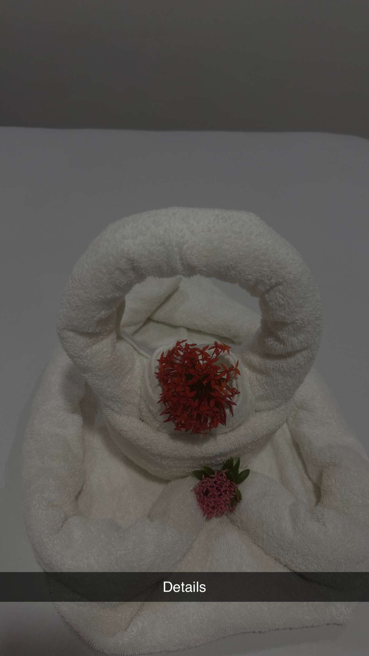 abbyy.irl snapchat image archive image