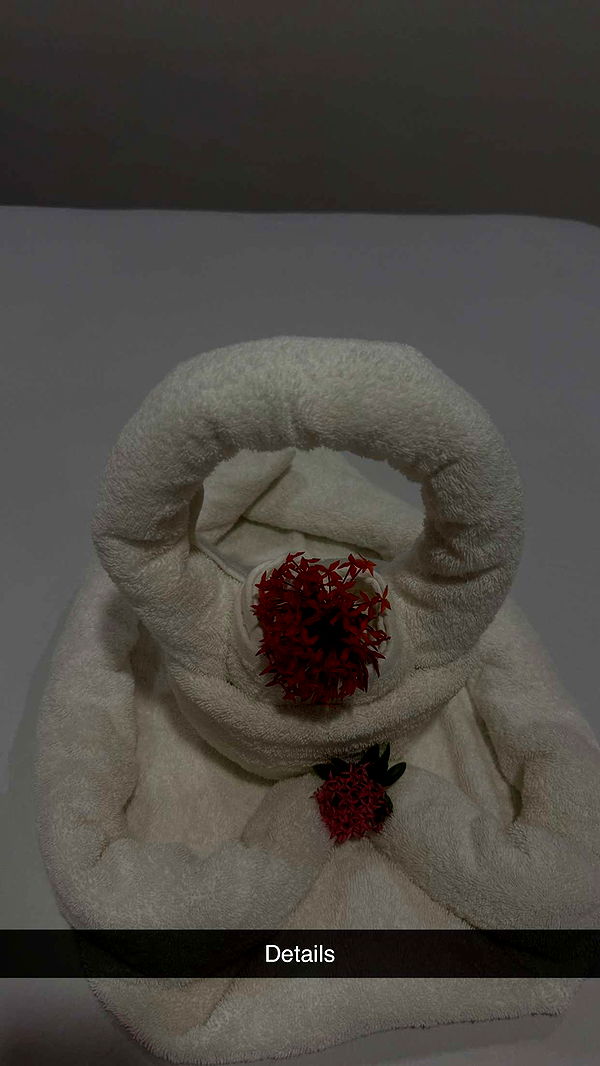 abbyy.irl image ~ Altpins