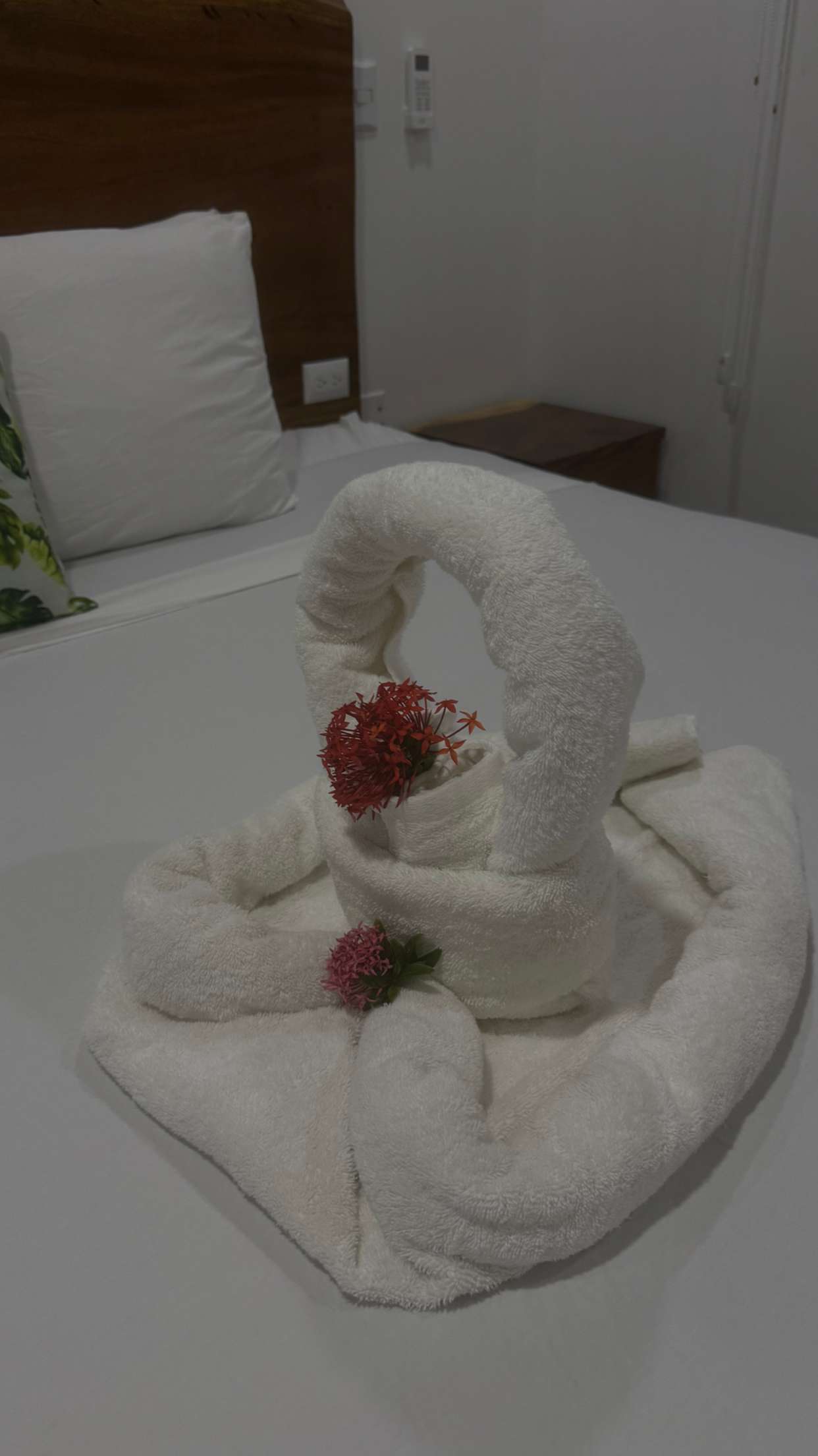 abbyy.irl snapchat image archive image