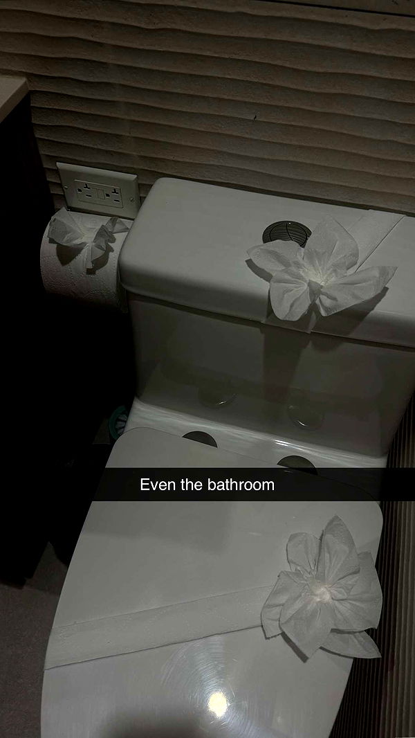 abbyy.irl image ~ Altpins