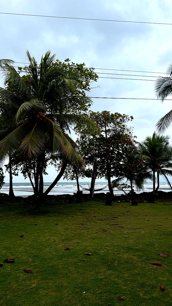 abbyy.irl image ~ Altpins