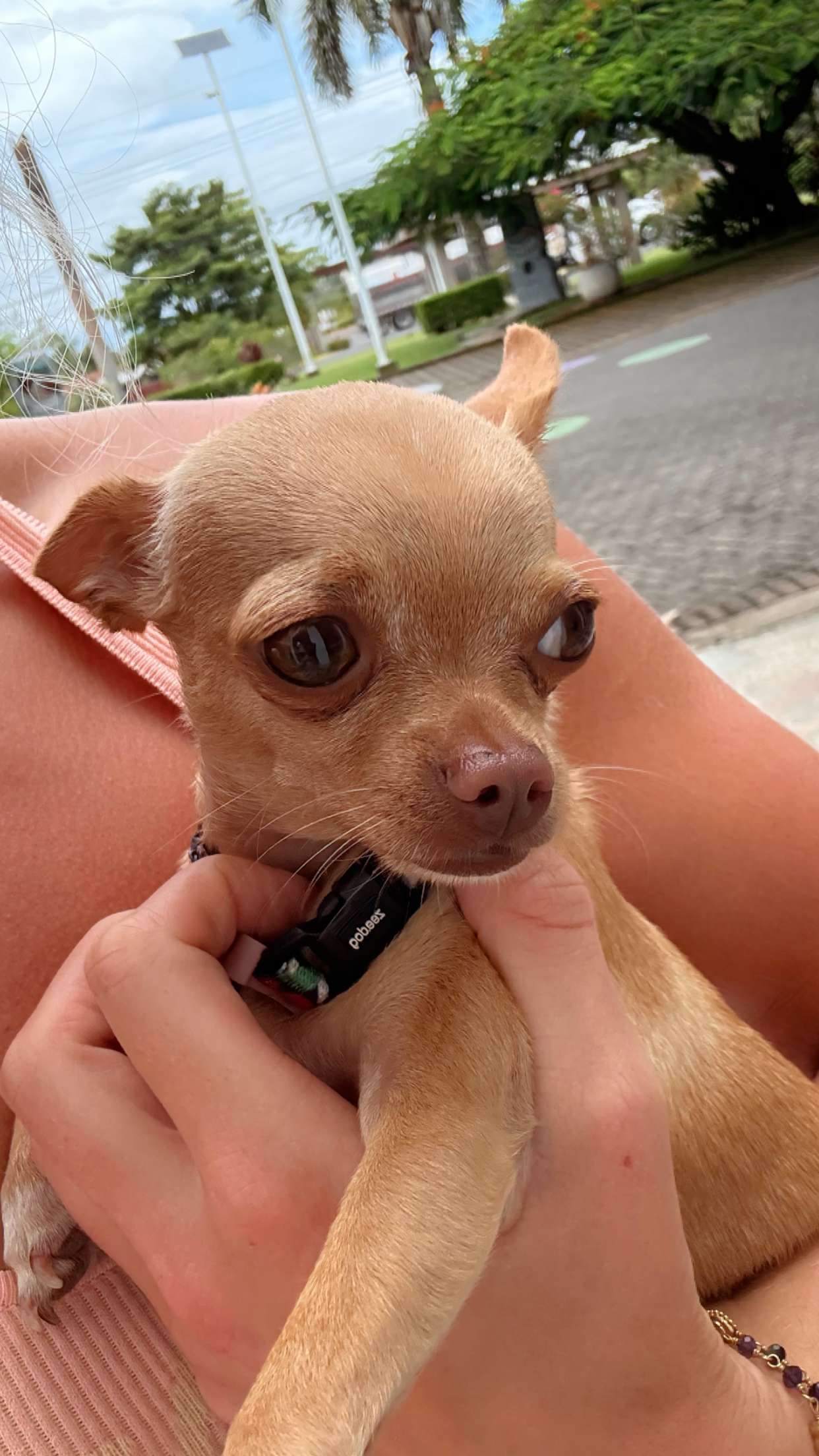 abbyy.irl snapchat image archive image