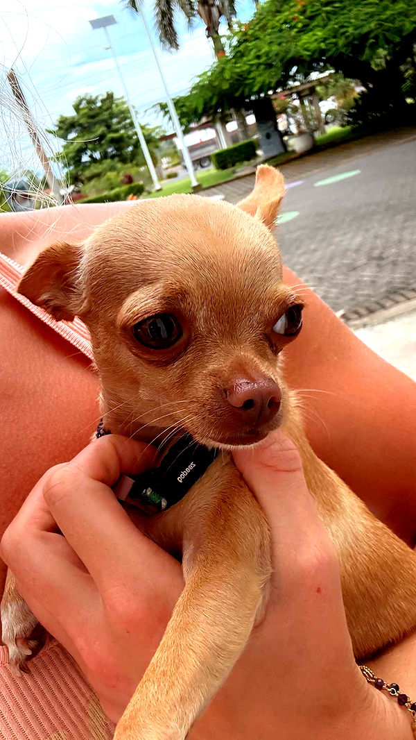 abbyy.irl image ~ Altpins