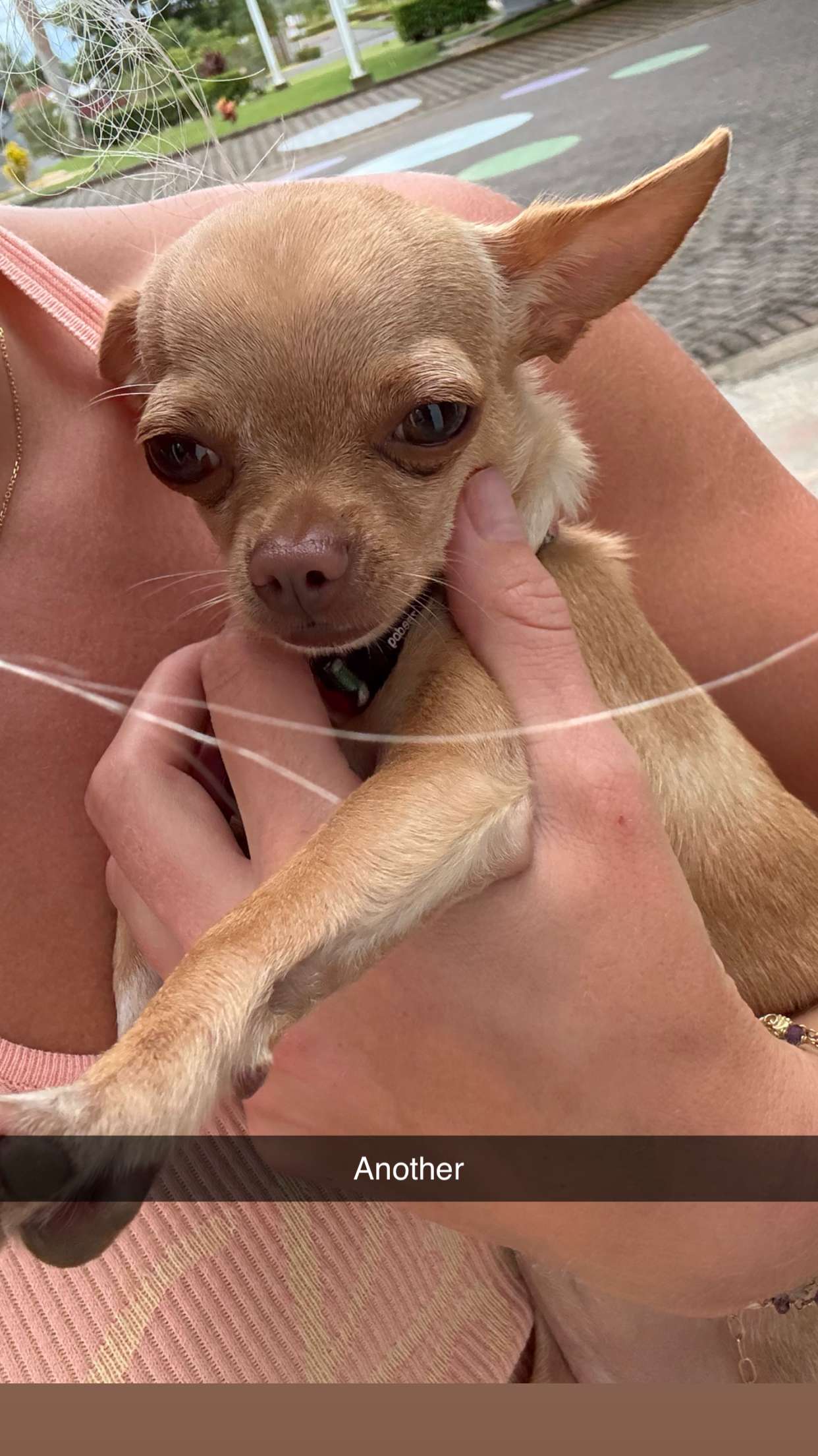 abbyy.irl snapchat image archive image