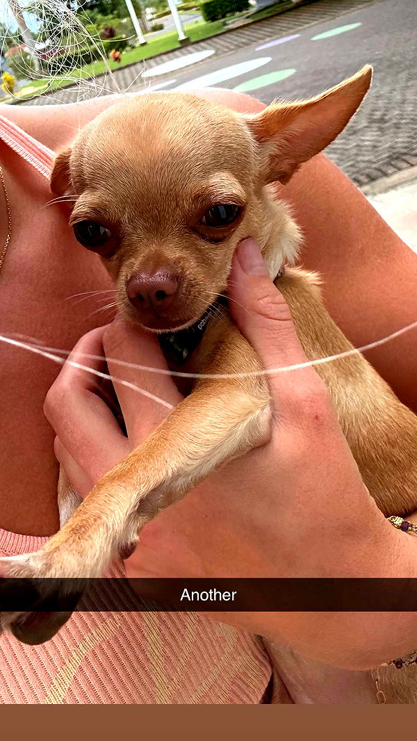 abbyy.irl image ~ Altpins