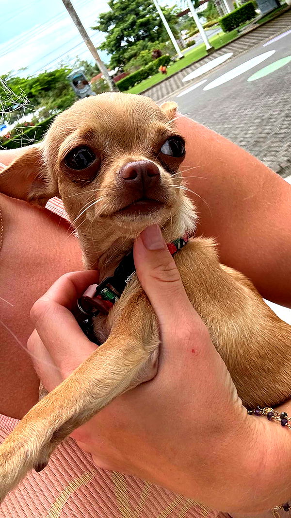 abbyy.irl image ~ Altpins