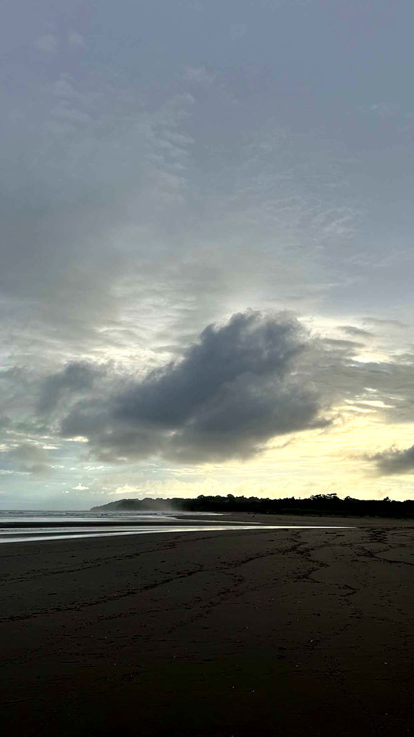 abbyy.irl image ~ Altpins