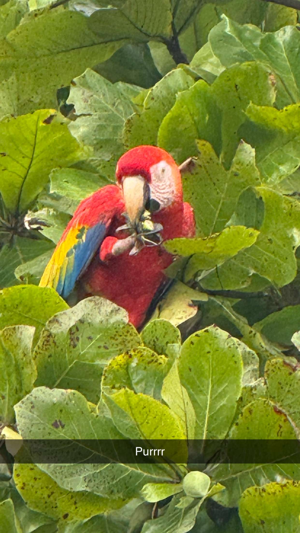 abbyy.irl snapchat image archive image