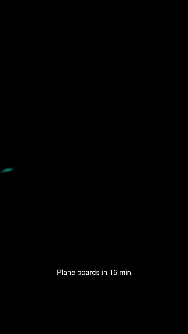 abbyy.irl image ~ Altpins