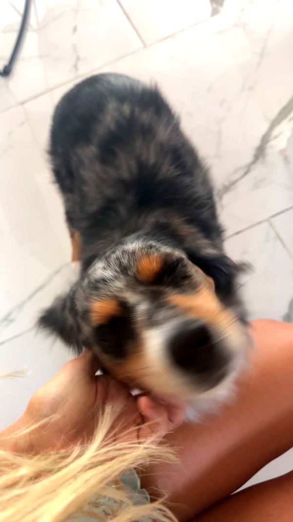 abbyy.irl image ~ Altpins