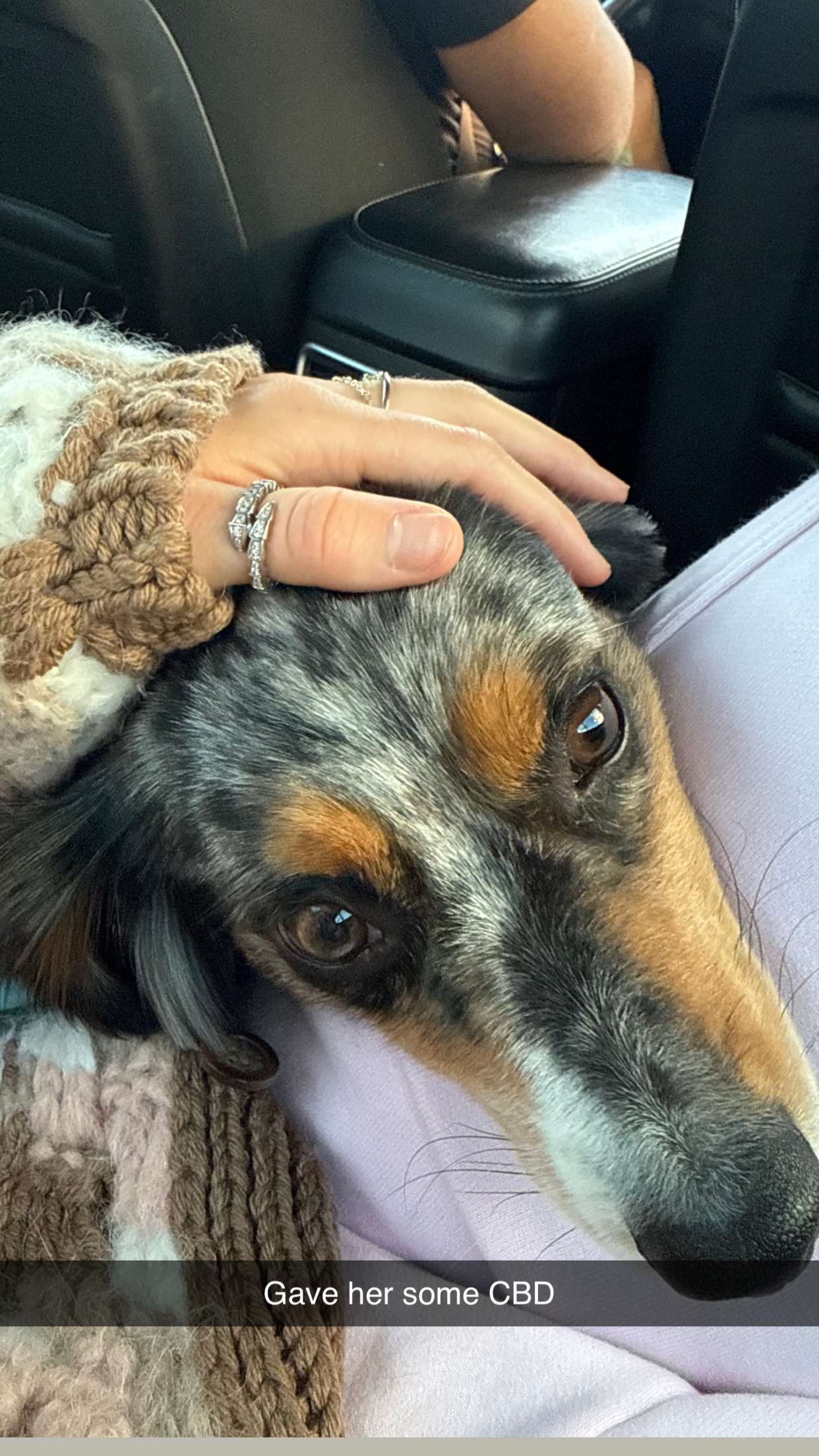 abbyy.irl snapchat image archive image