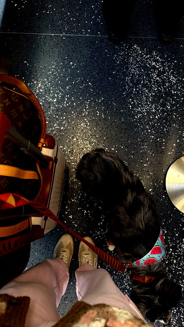 abbyy.irl image ~ Altpins