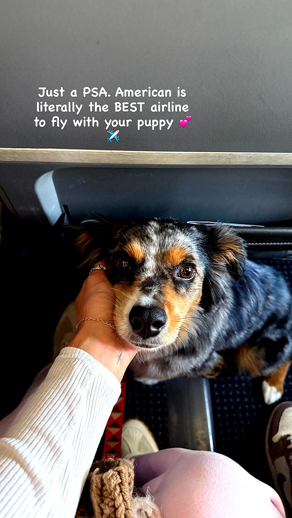 abbyy.irl image ~ Altpins