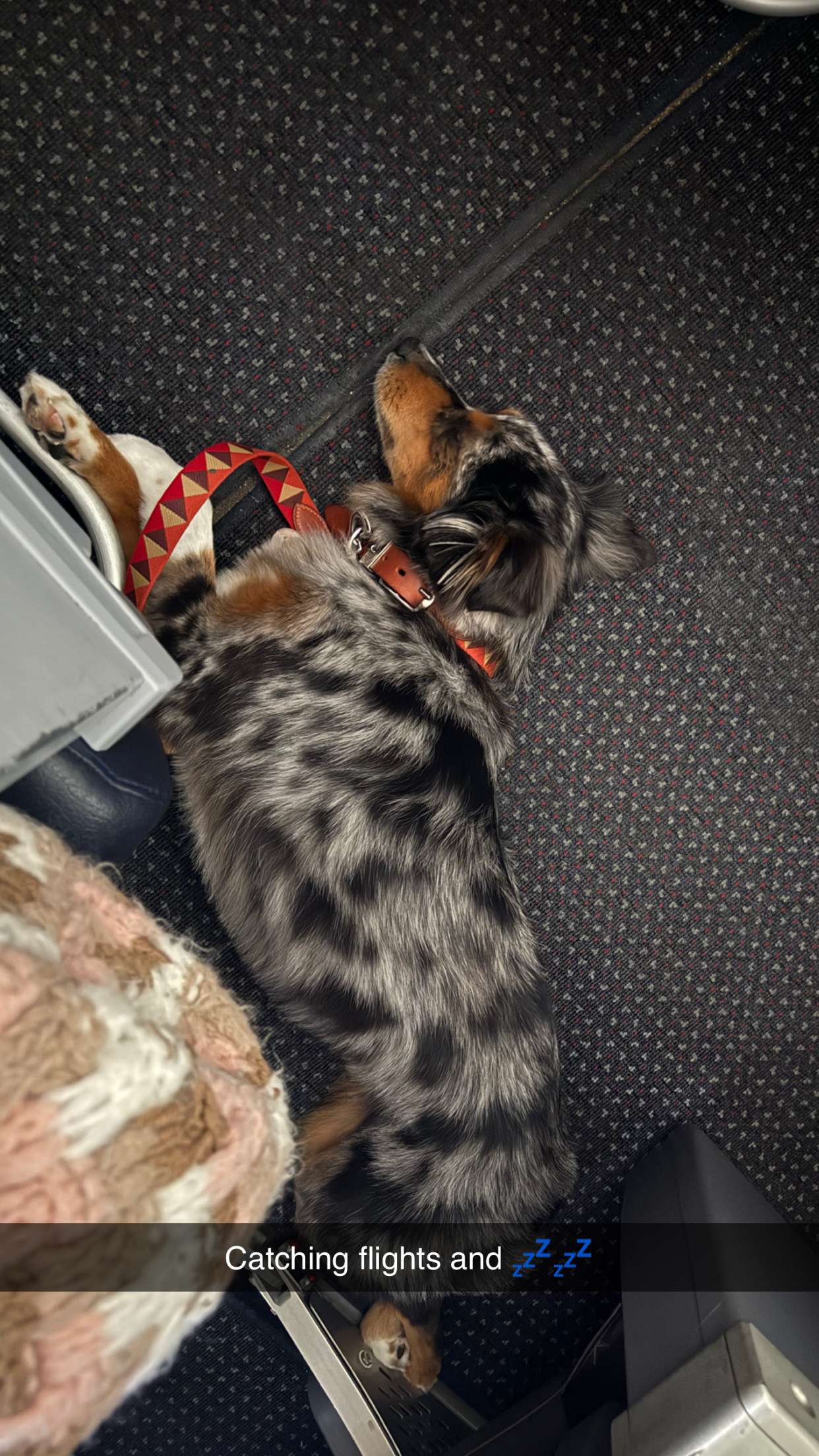 abbyy.irl snapchat image archive image