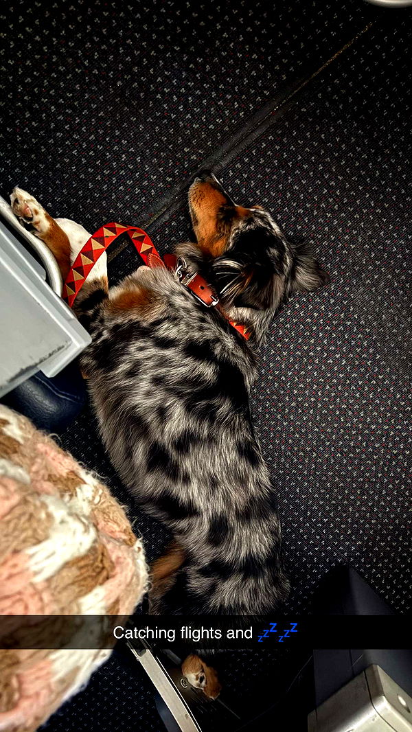 abbyy.irl image ~ Altpins