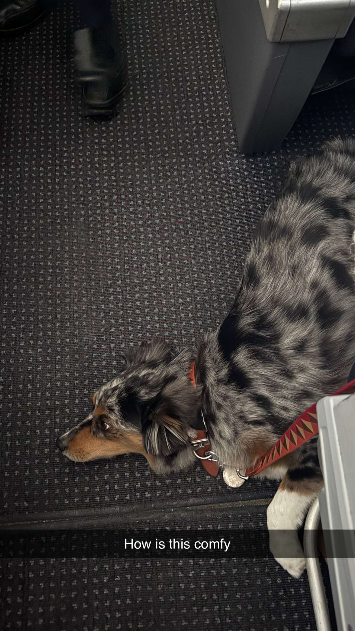 abbyy.irl snapchat image archive image