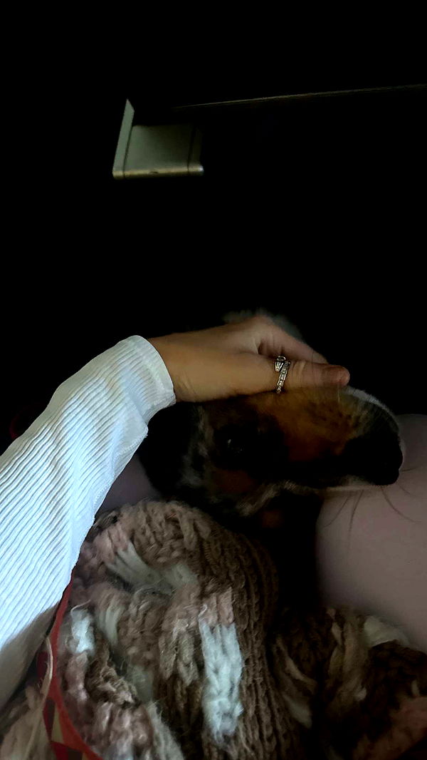 abbyy.irl image ~ Altpins