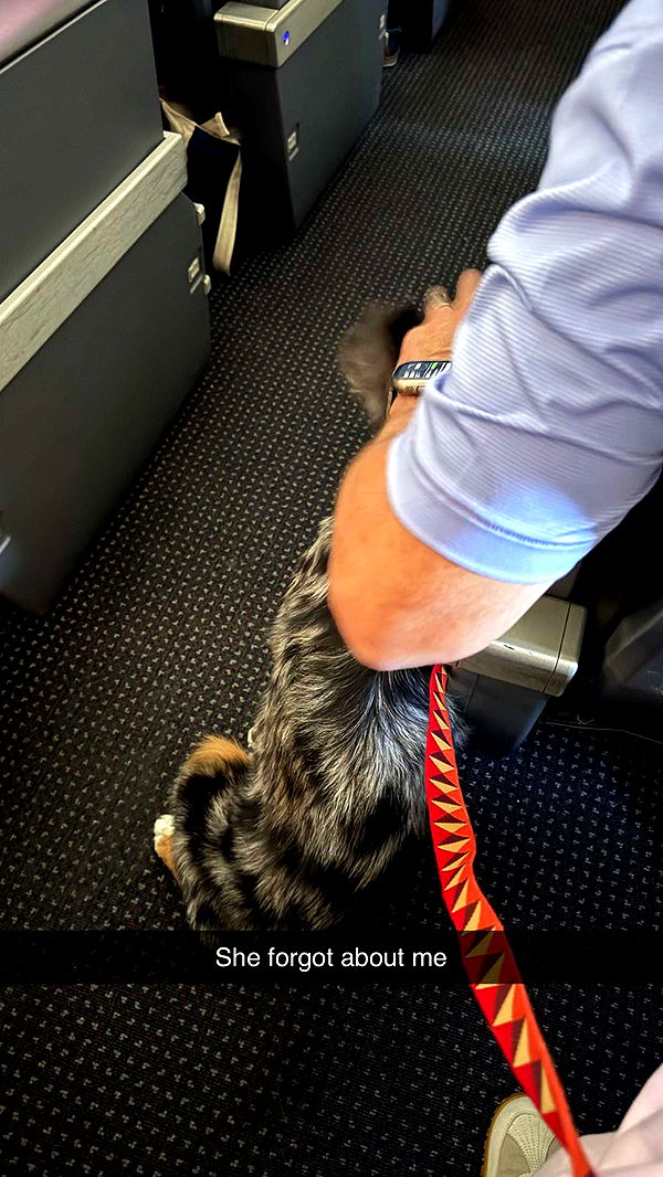 abbyy.irl image ~ Altpins