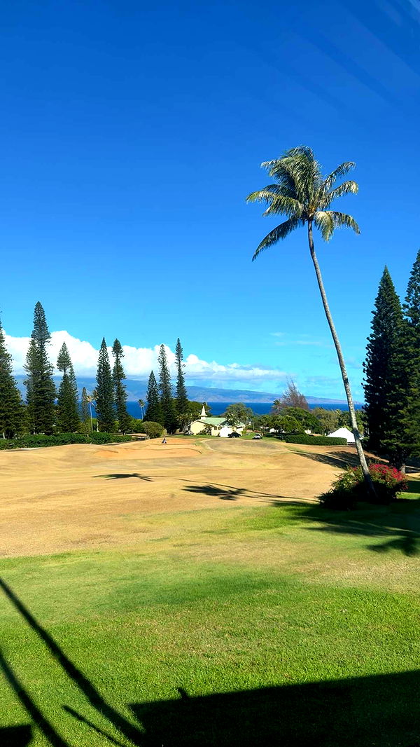 abbyy.irl image ~ Altpins