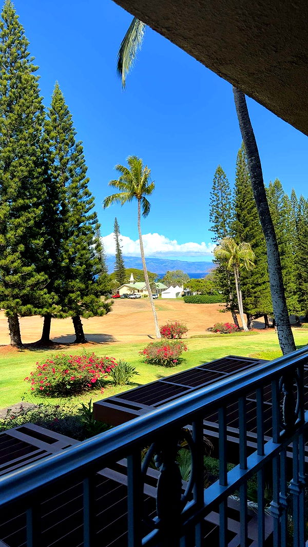 abbyy.irl image ~ Altpins