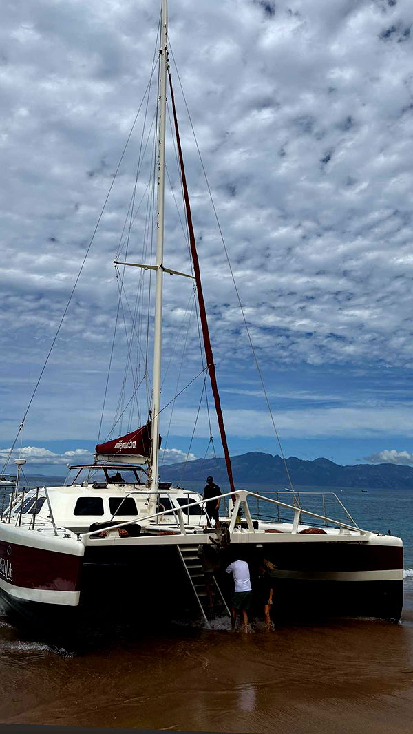 abbyy.irl image ~ Altpins