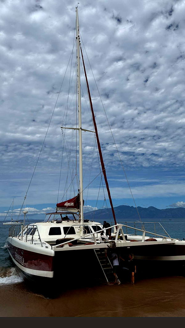 abbyy.irl image ~ Altpins