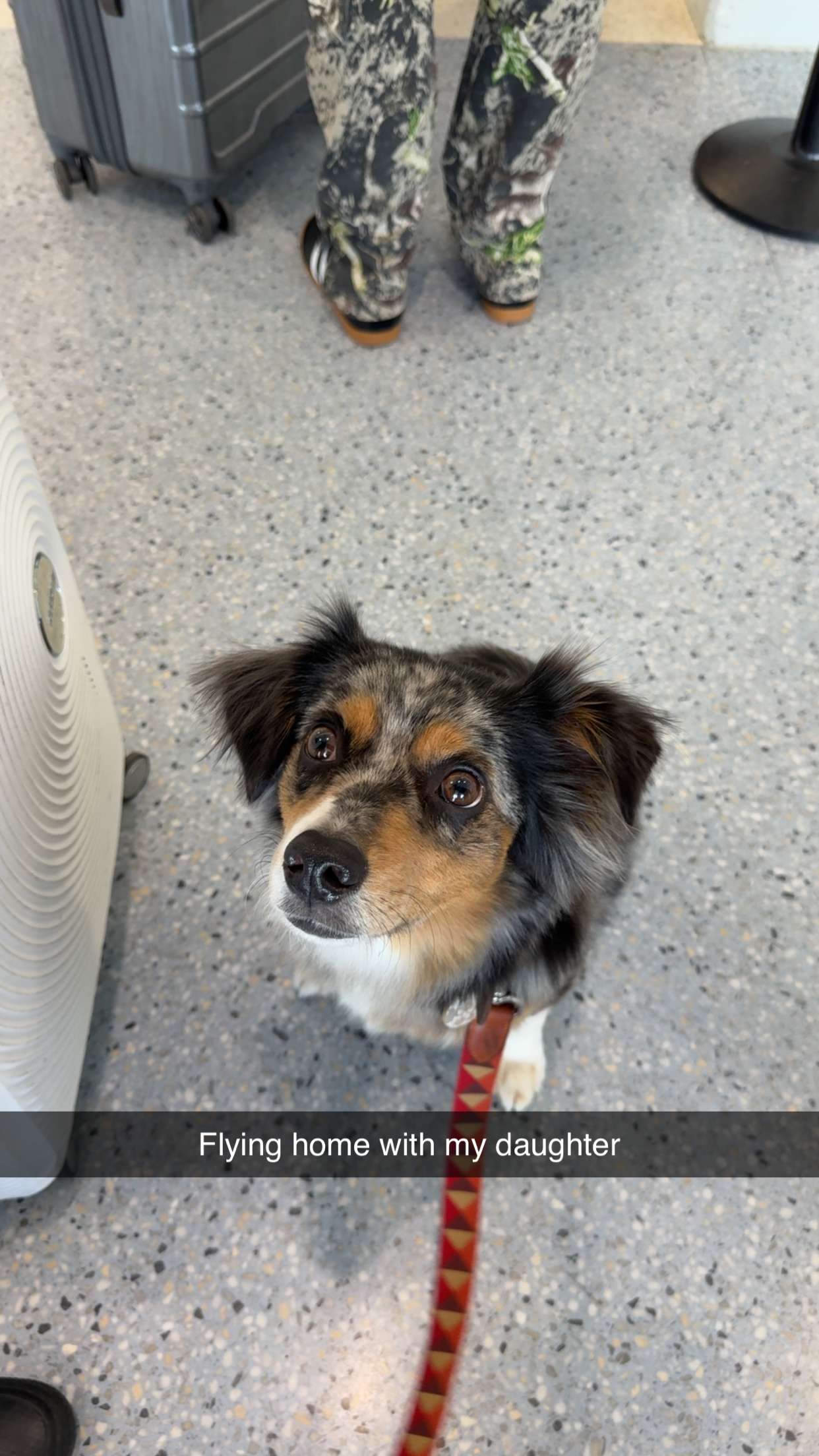 abbyy.irl snapchat image archive image