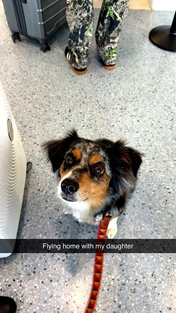 abbyy.irl image ~ Altpins