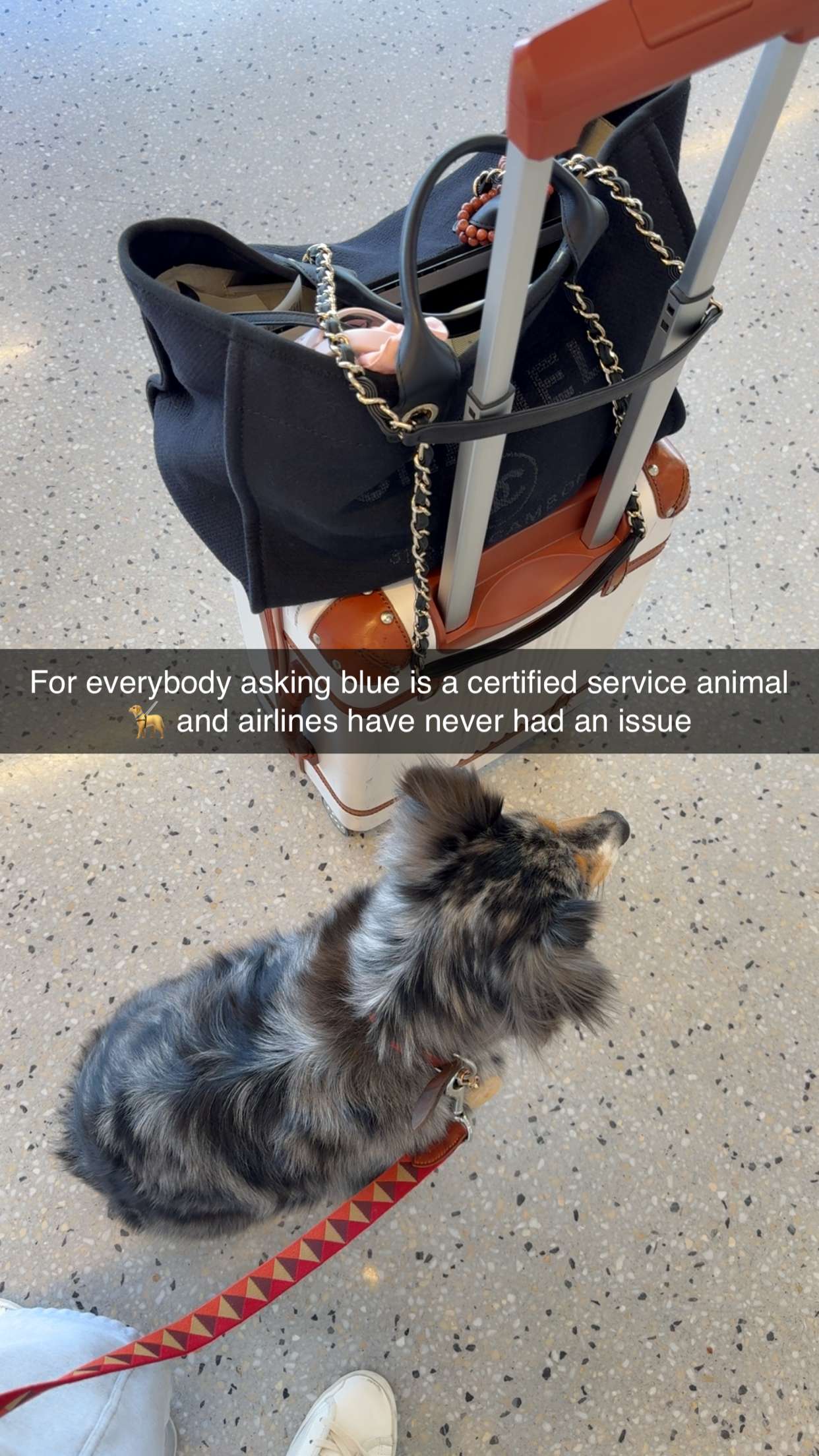 abbyy.irl snapchat image archive image