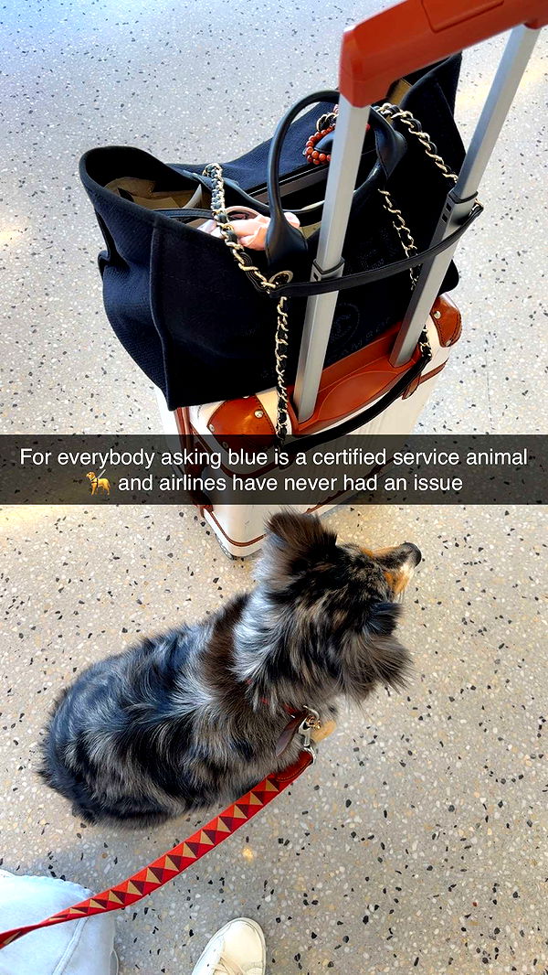 abbyy.irl image ~ Altpins