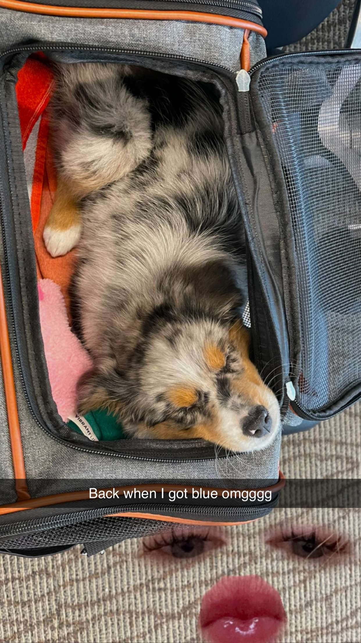 abbyy.irl snapchat image archive image