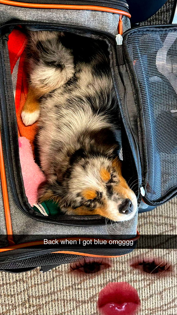 abbyy.irl image ~ Altpins