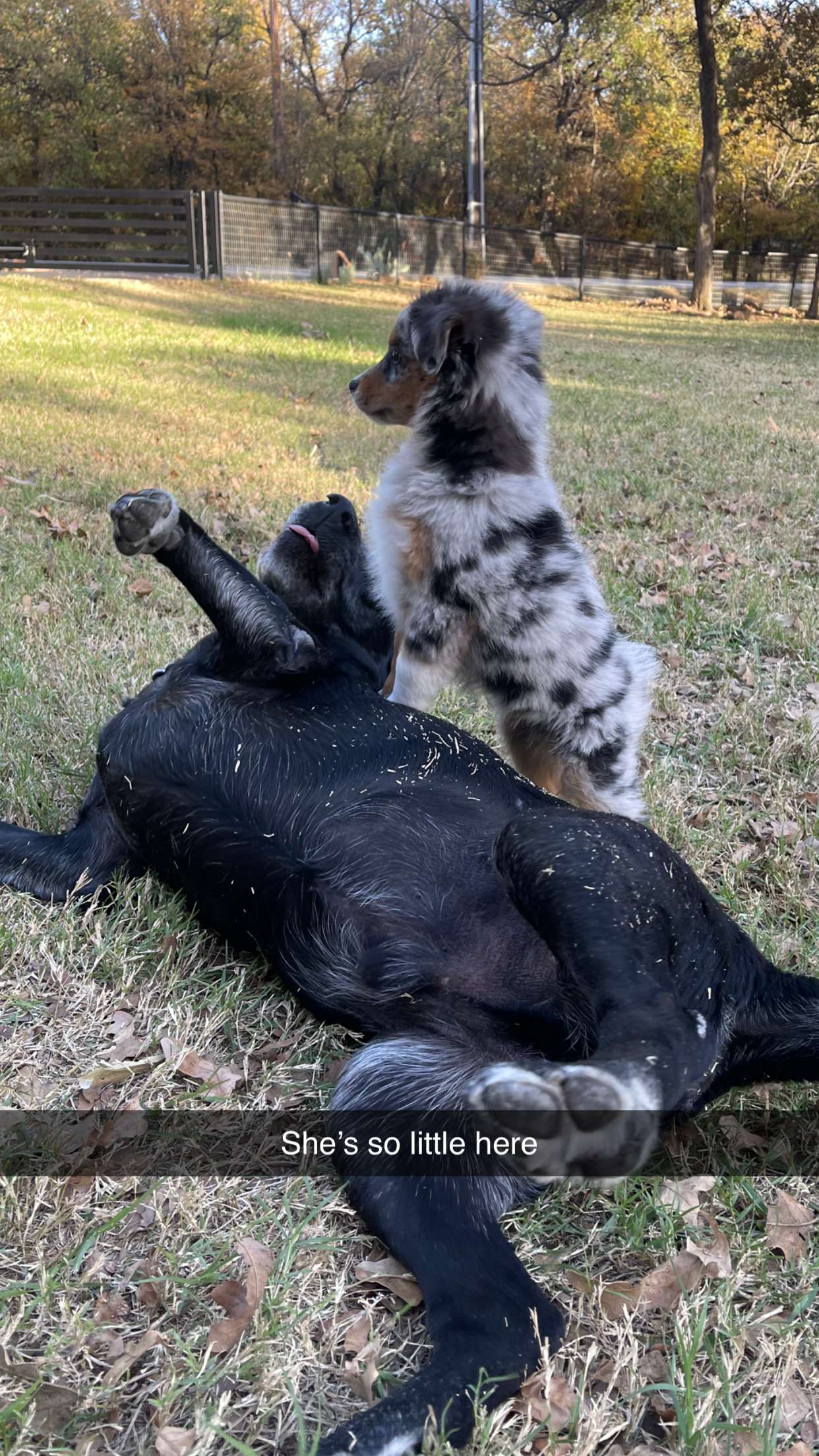 abbyy.irl snapchat image archive image