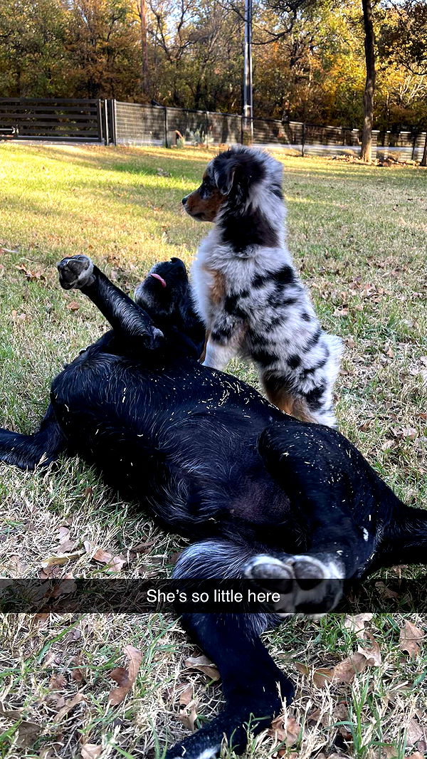 abbyy.irl image ~ Altpins