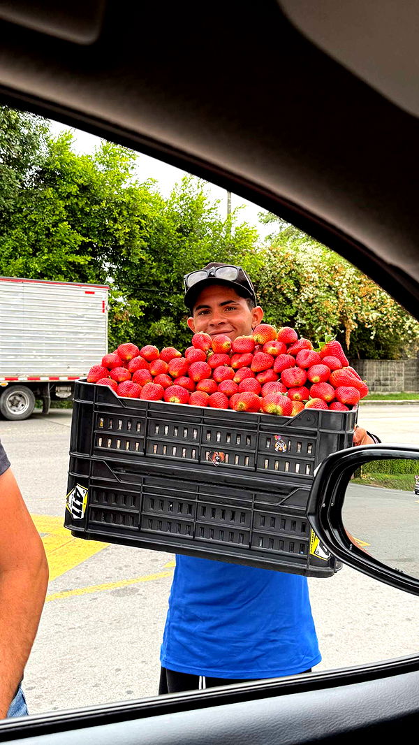 abbyy.irl image ~ Altpins