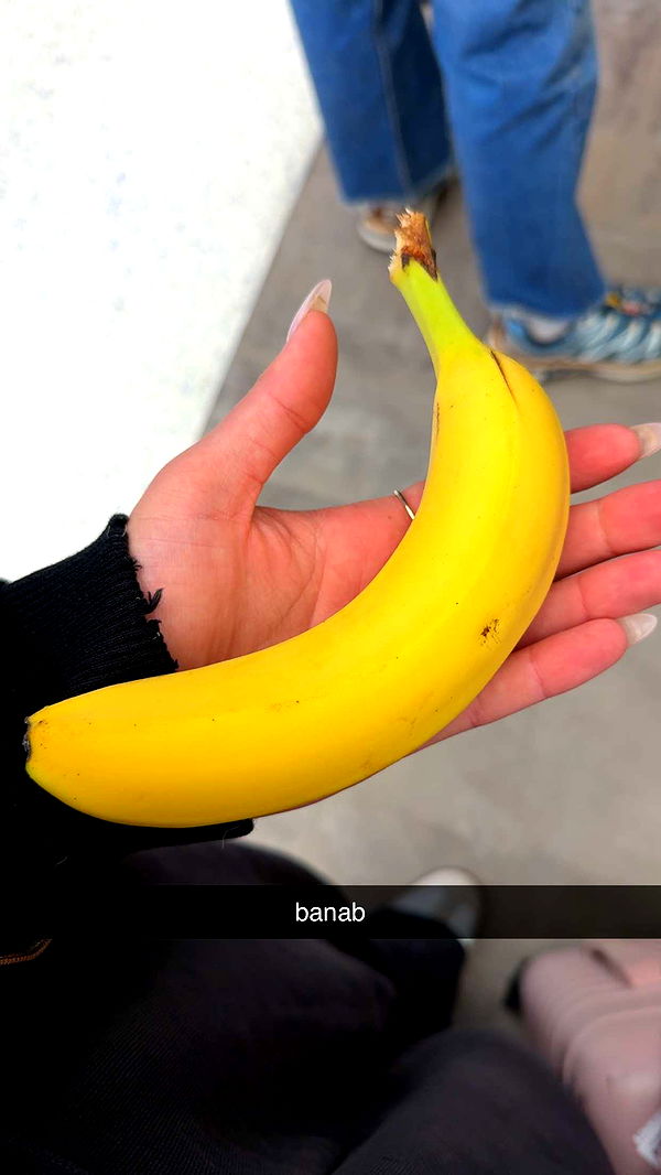 abigailwhhitee image ~ Altpins